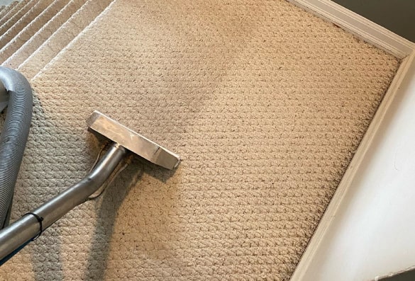 best carpet cleaning warragul